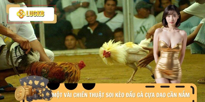 Một vài chiến thuật soi kèo đấu gà cựa dao cần nắm