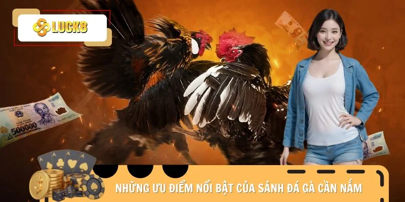 Những ưu điểm nổi bật của sảnh đá gà cần nắm