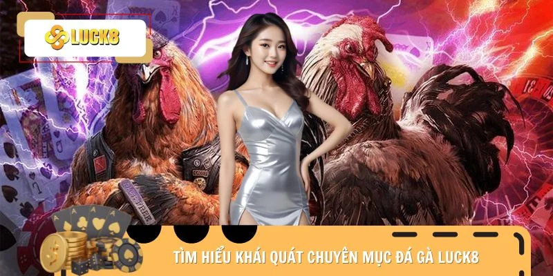 Tìm hiểu khái quát chuyên mục đá gà Luck8